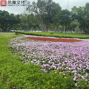 小男同-XVIDEOS-GAY
